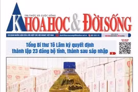 KHOA HỌC VÀ ĐỜI SỐNG SỐ 26 - 26/6/2025