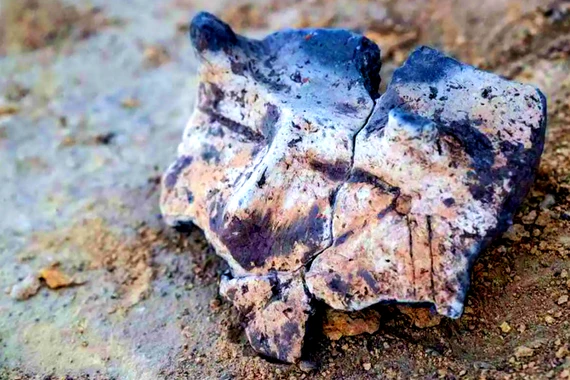 Tận mục chiếc bát hình khuôn mặt người có sừng 