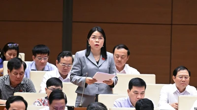 Chủ tịch tỉnh thẩm định quy hoạch sẽ mất tính khách quan