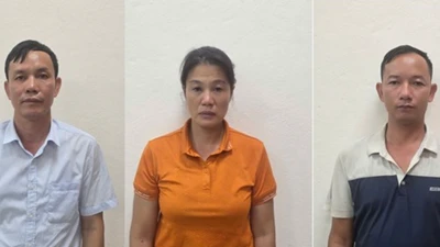 Xem xét thi hành kỷ luật cựu Giám đốc Công ty TNHH MTV Lâm nghiệp Hoành Bồ