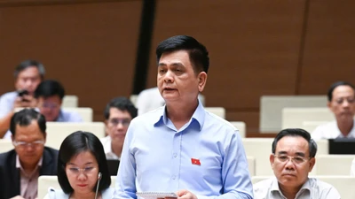Mở hành lang pháp lý cho phép người Việt có hai quốc tịch là cần thiết
