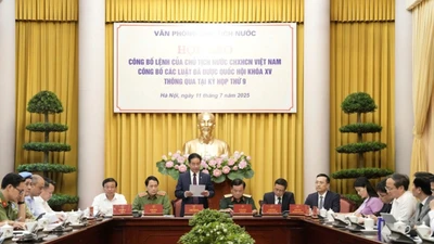 Lực lượng dân sự được tham gia gìn giữ hoà bình Liên Hợp Quốc