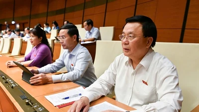 Xử lý vi phạm hành chính đối với hành vi cản trở tố tụng