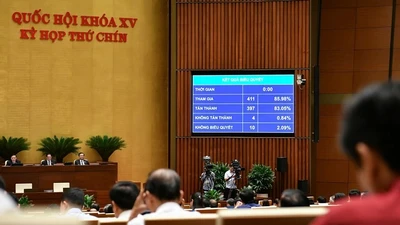 Cơ chế đặc biệt cho Chính phủ: Không hợp thức hoá sai phạm