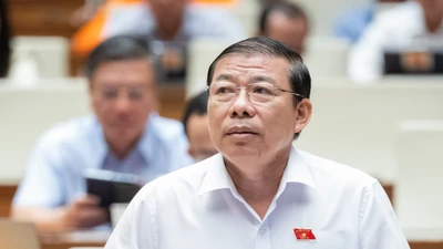 Bỏ án tử hình...nhìn từ vụ Trương Mỹ Lan