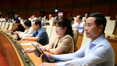 Cấm quảng cáo sai sự thật về chất lượng, nguồn gốc hàng hóa