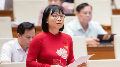 Phát triển kinh tế tư nhân... băn khoăn “công ty ma” lợi dụng