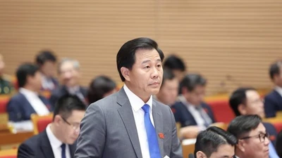 Hà Nội chất vấn "nóng" về lò mổ không dán tem vệ sinh thú y