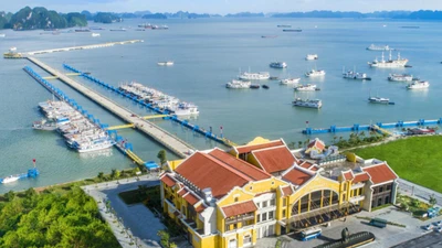 Quảng Ninh tạm dừng cấp phép rời cảng bến ra biển trước bão WIPHA 