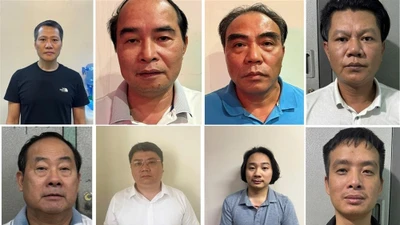 Khởi tố 8 bị can vụ Công ty Khoáng sản Luyện kim Việt Trung