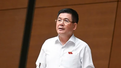 Chế tài xử lý vi phạm hàng giả, hàng nhái chưa đủ sức răn đe