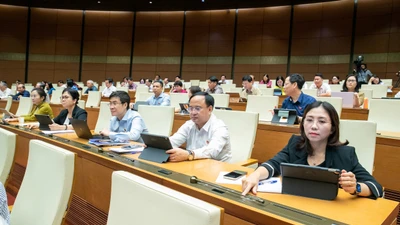 Ngày 15/3/2026, bầu cử đại biểu HĐND các cấp 2026-2031 