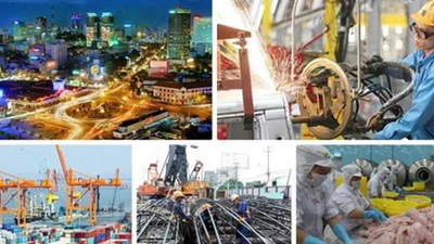 Những chỉ đạo nổi bật của Chính phủ trong tuần qua