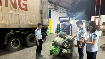 Quảng Ninh phát hiện hơn 12 tấn chân gà đã bốc mùi hôi thối