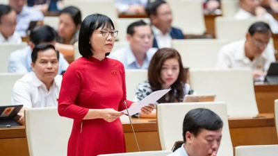 ĐBQH: Không thể phát hiện người tài chỉ bằng hồ sơ