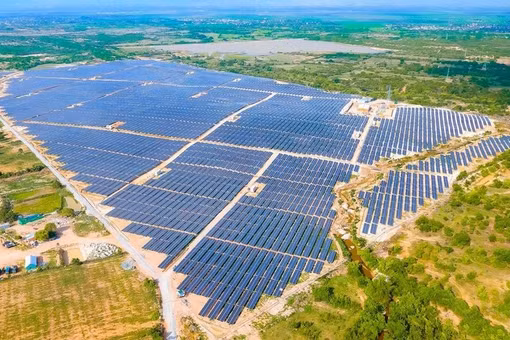 Năm 2025: Thua lỗ lớn trong ngành năng lượng tái tạo Việt Nam