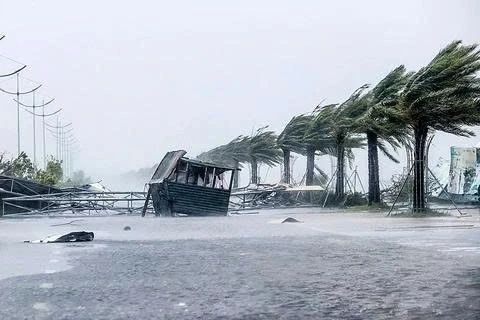 Năm 2026 có bao nhiêu cơn bão ảnh hưởng trực tiếp đến Việt Nam?