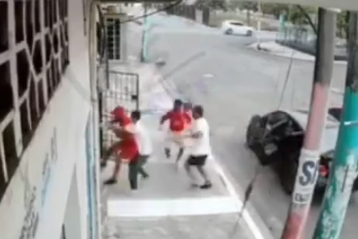 Hai chú chó trung thành bảo vệ chủ nhân của mình khỏi một vụ bắt cóc 