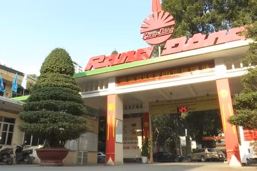 Lợi nhuận Rạng Đông sụt hơn 39% do cạnh tranh hàng Trung Quốc