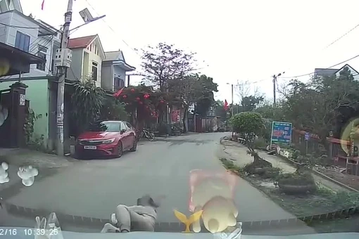 Thót tim khoảnh khắc em bé lao qua đường, người mẹ bất chấp lấy thân bảo vệ