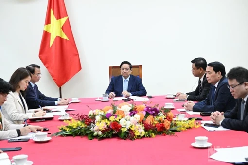 Giữa lúc giá dầu toàn cầu tăng mạnh, UAE cam kết hỗ trợ tối đa cho Việt Nam