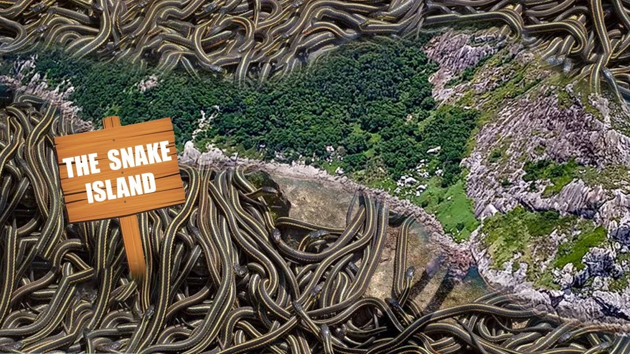 4 hòn đảo 'tử thần' trên thế giới, đến gần mất mạng như chơi