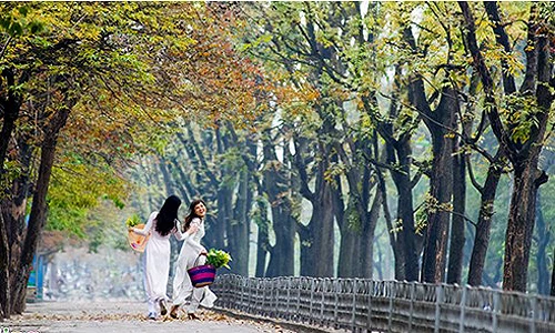 Những khoảnh khắc thu Hà Nội đẹp nao lòng
