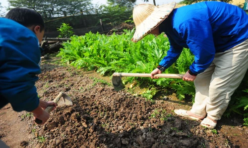 Cận cảnh trung tâm cai nghiện tự nguyện đầu tiên ở HN