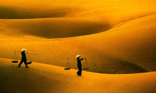 Ngắm những đồi cát mênh mông, hút hồn ở Việt Nam