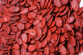 Khám phá về hạt dưa - loại hạt quen thuộc ngày Tết 