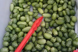 Top rau củ kỳ quặc nhất bạn từng thấy