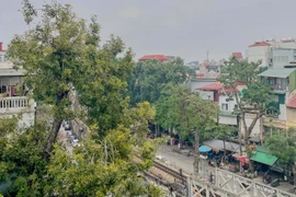 Điểm danh những quán cà phê ngắm Hà Nội từ trên cao