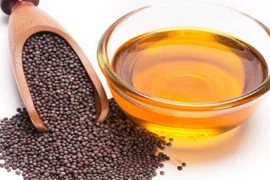 Lợi ích từ dầu mù tạt không phải ai cũng biết