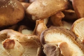 Những thực phẩm trị nốt sần ở ngực, ngừa ung thư hiệu quả