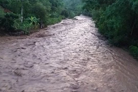 Dự báo thời tiết 1/6: Miền Bắc mưa rất to, nguy cơ lũ quét