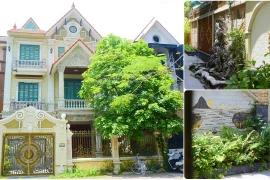 Căn nhà phố hiện đại đẹp giản dị của đại gia Hà Thành