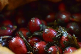 Ảnh: Mất mùa, dân Mù Cang Chải hái cả thảo quả non đem bán