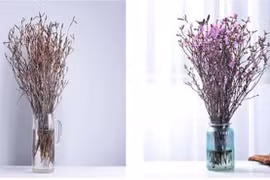 Sự thật “độc tố” trong hoa đỗ quyên ngủ đông khiến chị em phát hoảng