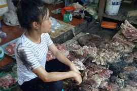 Một công ty thu mua đàn lợn của tiểu thương bị hắt chất bẩn