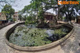 Di sản hiếm có Việt Nam ở làng Nôm