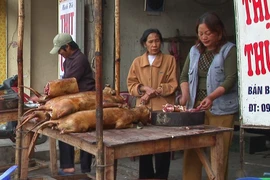 Khách tây nói gì về món thịt cầy ở Việt Nam hàng chục năm trước? 