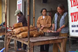 Khách tây nói gì về món thịt cầy ở Việt Nam hàng chục năm trước? 