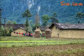 Vẻ đẹp bình dị của Phố Cáo Hà Giang hút du khách