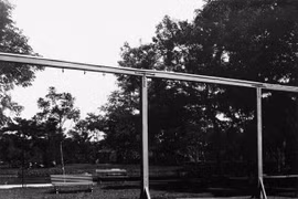 Bộ ảnh quý về công viên lâu đời nhất vườn Bách Thảo Hà Nội