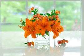 Cắm hoa hợp phong thủy để chiêu tài lộc, rước bình an