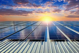 Chính sách điện mặt trời áp mái: PC1, BCG và REE kỳ vọng gì?