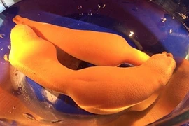 Ảnh “độc” loài sâu mũm mĩm, trông giống “của quý” gây đỏ mặt 