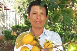 Vùng đất này không chỉ có sâm mà còn có đặc sản hồng giòn