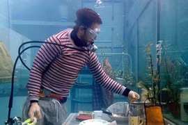 Sống dưới nước như "người cá" 5 ngày, bạn gặp điều gì?