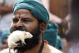 Những hình ảnh rùng mình có thật chỉ có tại Ấn Độ 